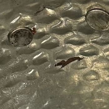 Kusurlu Ürün Ve Yetersiz Müşteri Hizmeti Nedeniyle Mağduriyet