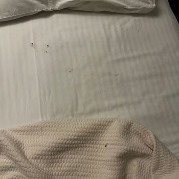 Hidden House Kartepe Ne Huzur Bulduk Ne Tatil Yapabildik