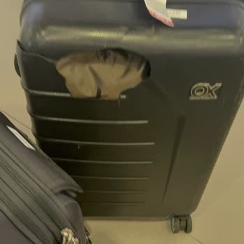 THY Uçuşlarında Valizlerim Parçalandı, Mağduriyetim Giderilmiyor!