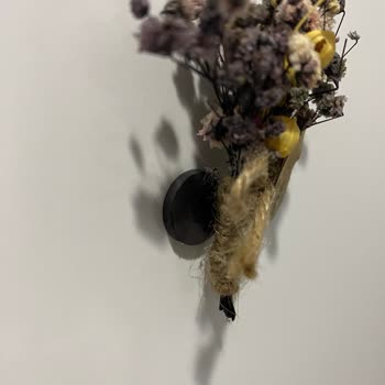 Yanlış Ve Kalitesiz Ürün, Saygısız Müşteri Hizmeti