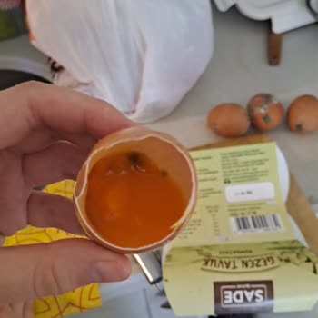 Getir’den Küflü Ve Kokan Yumurta Şoku!