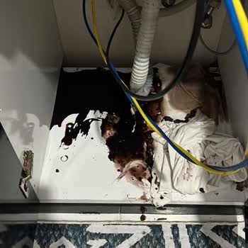 Lavabo Açıcı Kullanımı Sonrası Mutfak Gider Borusunda Hasar