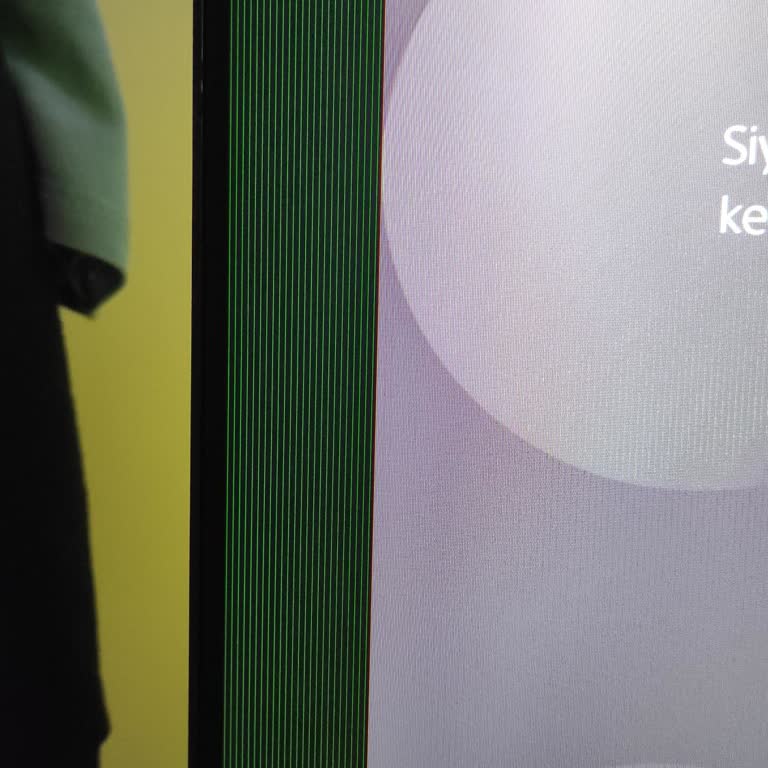 Satın Aldığım Monster Monitörde Görüntü Sorunları Ve Destek Eksikliği