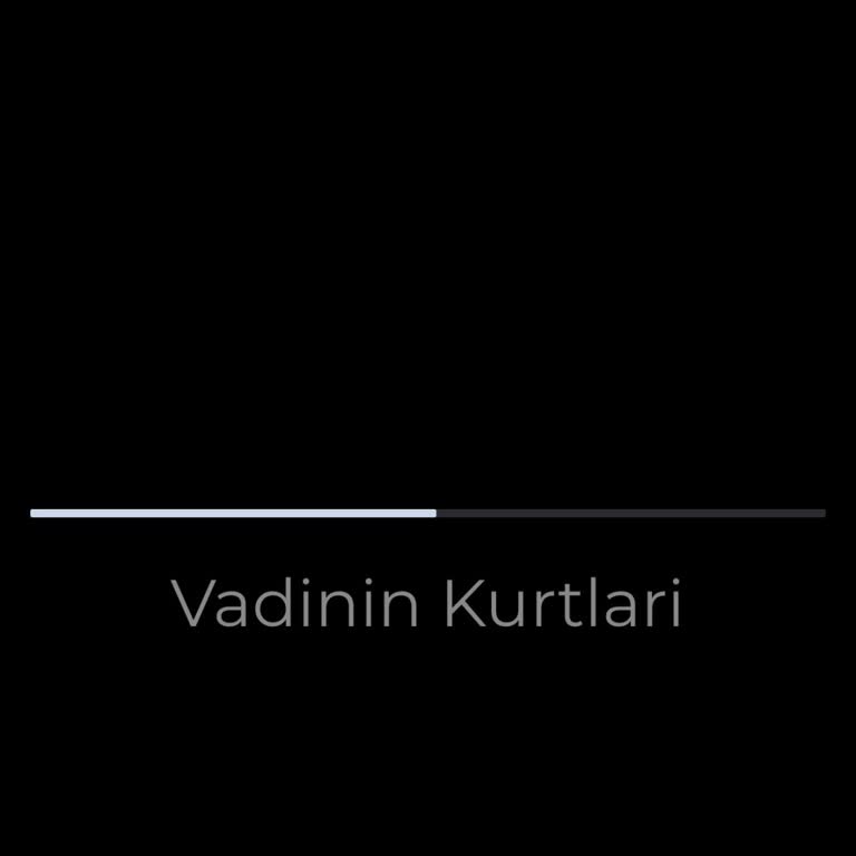 Betcio Casino'da Bonus Kullanılamıyor: Oyun Erişim Sorunu Ve Çözüm Beklentisi