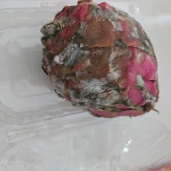 Eksik Ve Bozulmuş Ürünler, Yetersiz Müşteri Hizmeti