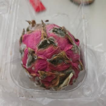 Eksik Ve Bozulmuş Ürünler, Yetersiz Müşteri Hizmeti