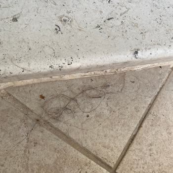 Mersoy Otel’de Hijyen Ve Konfor Sorunları, İlgisiz Personel