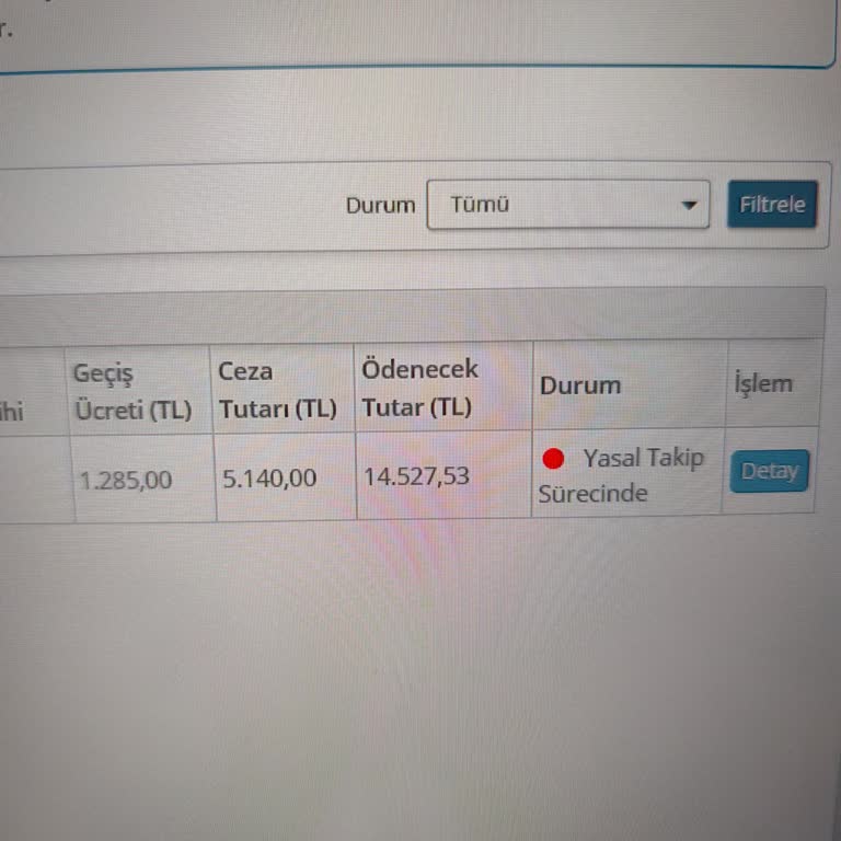 HGS Bildirimsiz Ceza Ve Fahiş Borç Yansıtılması