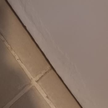 Altus Çamaşır Makinesi Ön Panelinde Erken Paslanma Ve Çürüme Sorunu