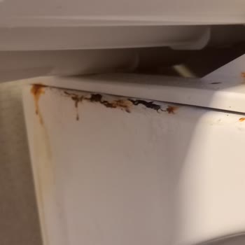 Altus Çamaşır Makinesi Ön Panelinde Erken Paslanma Ve Çürüme Sorunu