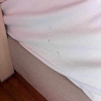 Tatilbudur Müşteri Temsilcisinin İlgisiz Ve Saygısız Davranışı