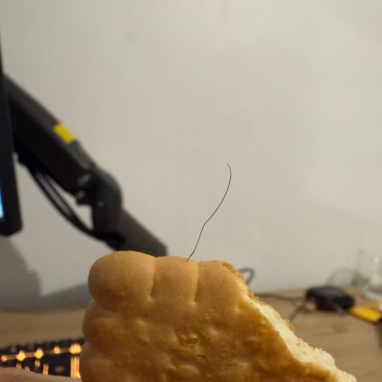 Aldığım Bisküvinin İçinden Kıl Çıktı Hijyen Ve Sağlık Mağduriyeti Yaşadım