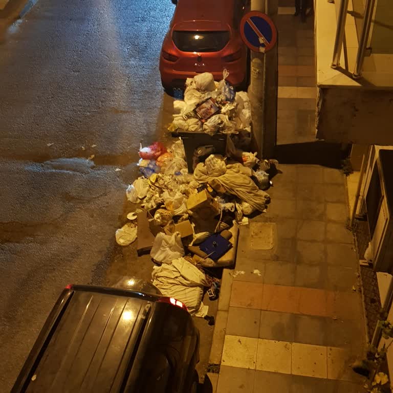 İzmir Büyükşehir Belediyesi Konteynerlerin Yanlış Konumlandırılması ve Sinek Sorunu