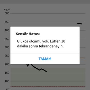 Freestyle Libre 2 Sensöründe Sürekli Tekrarlayan Hatalar Ve Çözüm Eksikliği