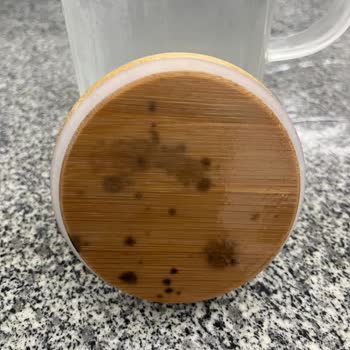 Kısa Sürede Küflenen LCW Home Sürahi Kapağı Hayal Kırıklığı Yarattı