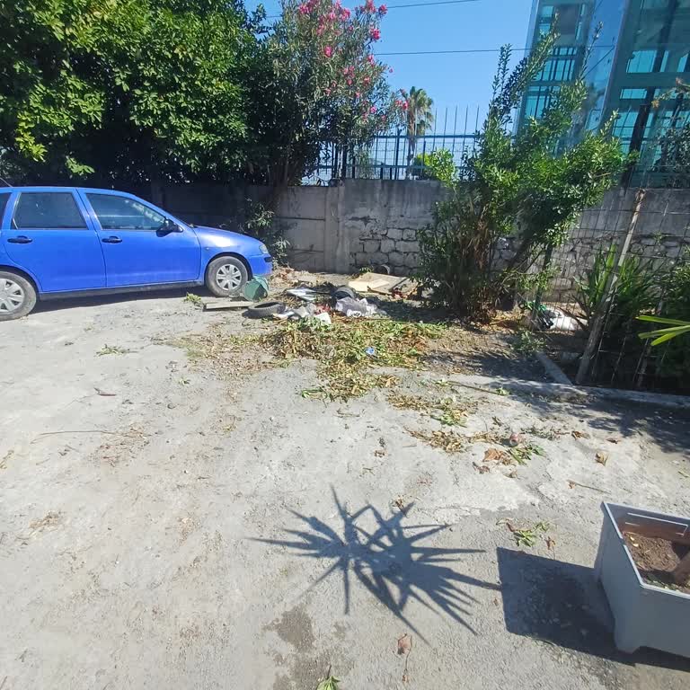 Fatih Belediyesi Temizlik Hizmetleri Yetersizliği Mahalleliyi Mağdur Ediyor