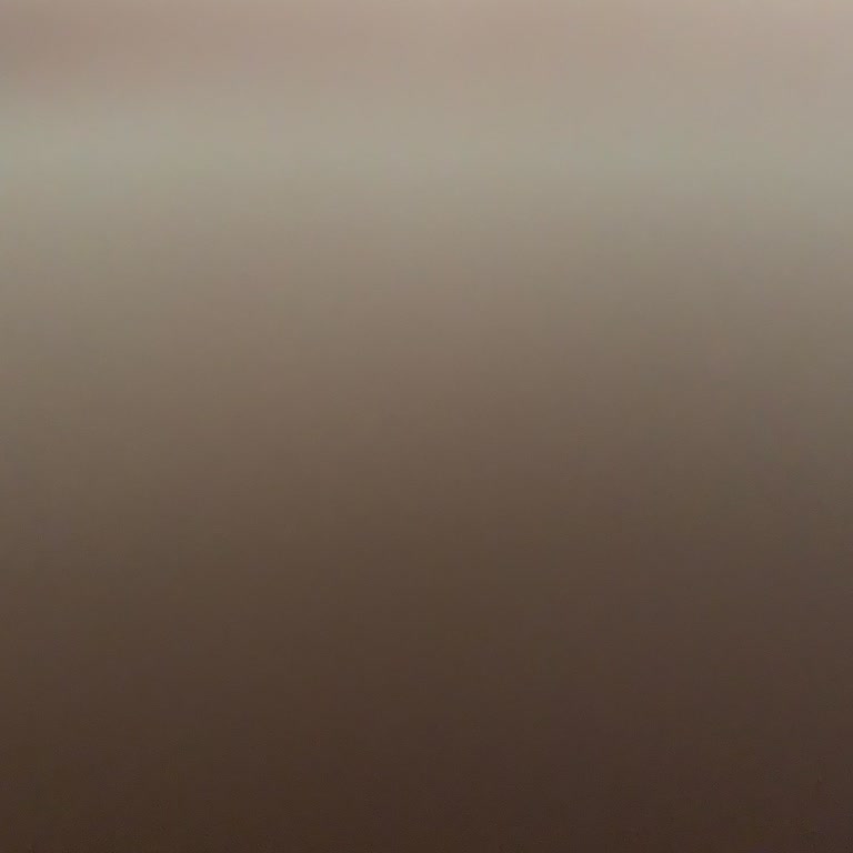 Ziraat Bankası Ortak ATM'de Yatırılan Paraların Hesaba Geçmemesi Ve Geciken Geri Ödeme