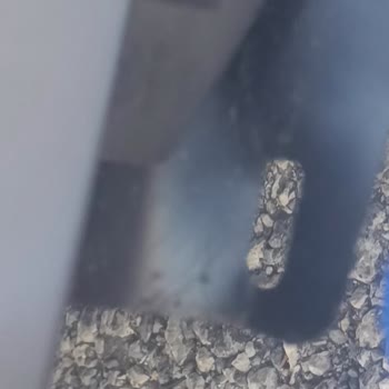 Kusurlu Teslim Edilen Elektrikli Mopet İçin Para İadesi Ve İlgisiz Bayi Şikayeti