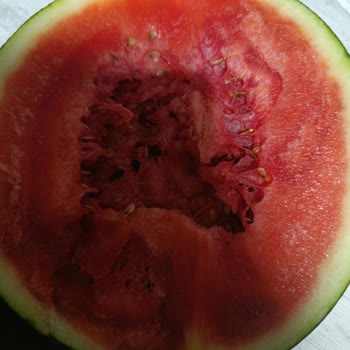 BİM'den Aldığım Karpuz Bozuk Çıktı, Mağduriyetimin Giderilmesini İstiyorum