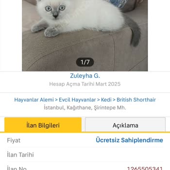 Ücretsiz Kedi Sahiplendirme İlanlarım Haksız Yere Reddediliyor