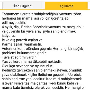 Ücretsiz Kedi Sahiplendirme İlanlarım Haksız Yere Reddediliyor