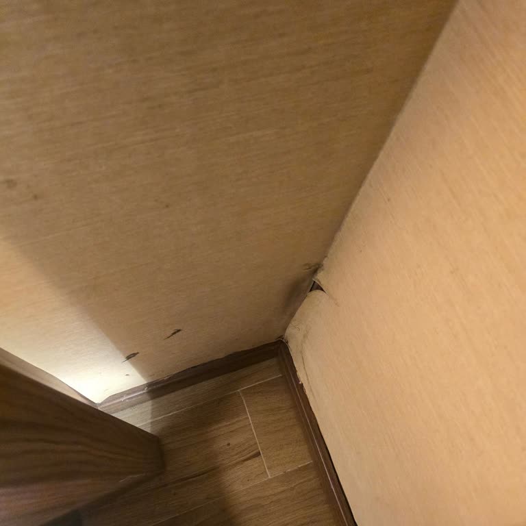 Balayı Tatilinde Hayal Kırıklığı Ve İlgisizlik