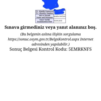 ALES Sınav Sonuçlarım Sistemde Eksik Görünüyor, Mağduriyetimin Giderilmesini Talep Ediyorum
