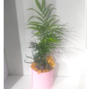 Sipariş Ettiğim Çiçekle Gelen Ürün Arasında Büyük Fark Var