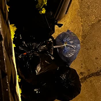 Çöpler Kapımızın Önünde Toplanmıyor Mahallede Mağduriyet Yaşıyoruz