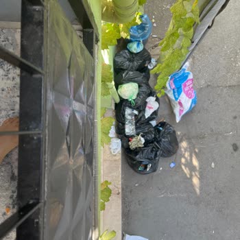 Çöpler Kapımızın Önünde Toplanmıyor Mahallede Mağduriyet Yaşıyoruz