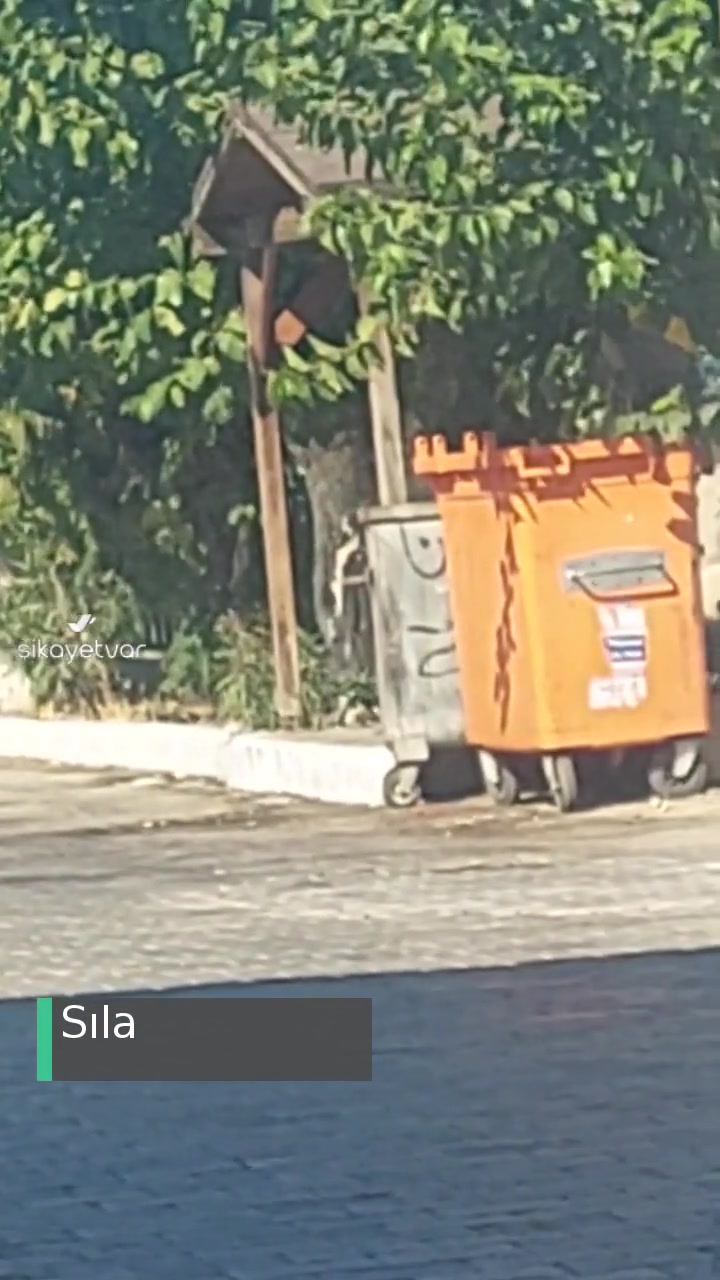 Seferihisar Belediyesi Kokudan Duramıyoruz Buna Bir Çözüm İstiyoruz! videonun kapak resmi