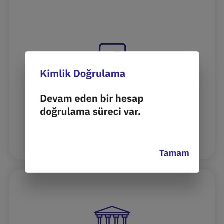 Kimlik Doğrulama Sorunu Nedeniyle Hesabıma Erişemiyorum