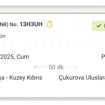 Pegasus Uçuşunda Yaşanan Gecikme Ve Tazminat Sürecinde Bilgilendirme Eksikliği