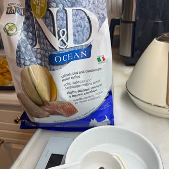 Farmina - N&D Mama Aldığım Köpek Mamasından Böcek Çıkması Ve Firmaların İlgisizliği