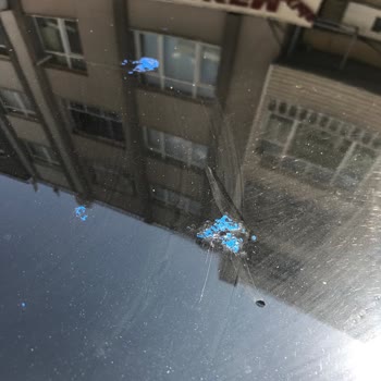 Sıfır Opel Mokka'nın Tavanında Boya Dökülmesi Nedeniyle Değişim Talebi