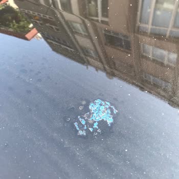 Sıfır Opel Mokka'nın Tavanında Boya Dökülmesi Nedeniyle Değişim Talebi