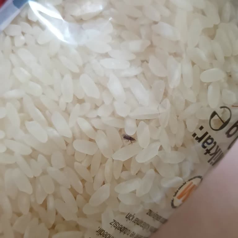 Migros'tan Aldığım Pirinçten Böcek Çıktı!