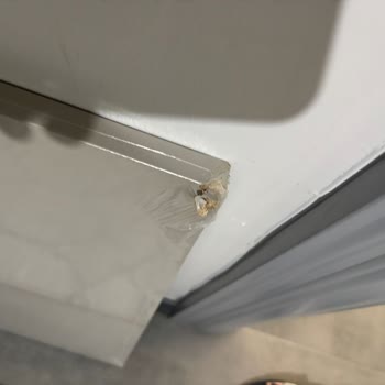 Horoz Lojistik İle Gelen Ürünlerde Sorun Yaşadım