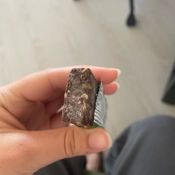 Fellas Meyve Barında Küf Ve Kötü Koku: Sağlık Riski Ve İade Talebi