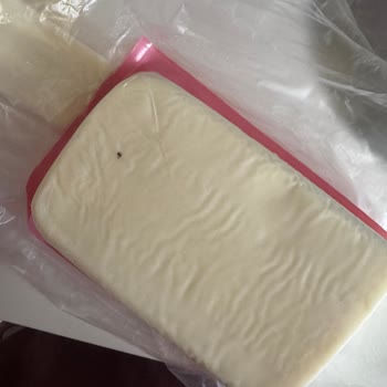 Tost Peynirinde Böcek Şoku: Açıklama Ve Ürün Değişimi Talebim Var