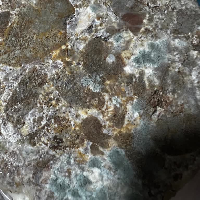 Sipariş Ettiğim Kavurma Beklentimi Karşılamadı, Firma İlgisiz Kaldı