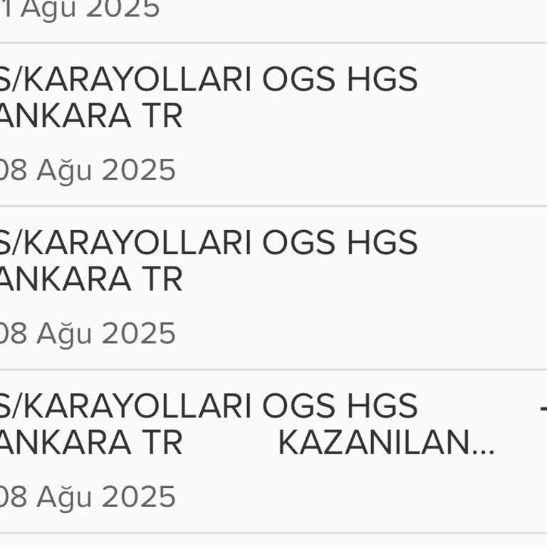 HGS Ödemelerim KGM Sisteminde Görünmüyor Ceza Endişesi Yaşıyorum