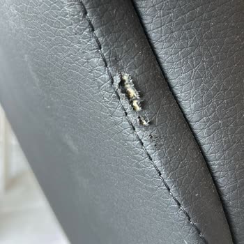 Çilek Mobilya’dan Aldığım Sandalyede Kısa Sürede Deformasyon Ve Yetersiz Garanti Desteği