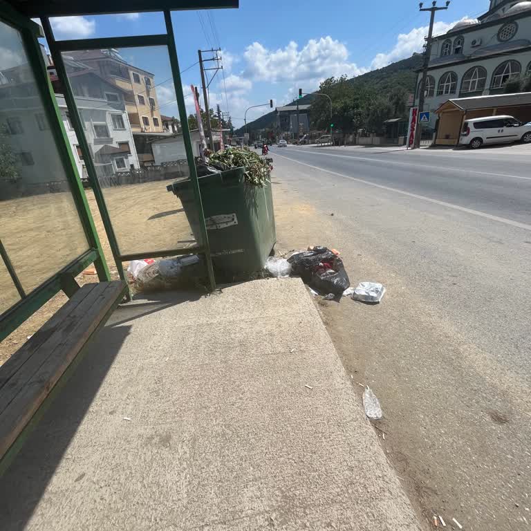 Sapanca Belediyesi Dolup Taşan Çöp Kutusu Kötü Kokuya Yol Açıyor
