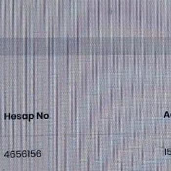 Kapatılan Hesabım E-Devlet’te Hâlâ Açık: Denizbank’tan Kurtulamıyorum!