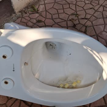 Sompo Hasar Dosyam Açılmıyor, Tazminatım Ödenmiyor!