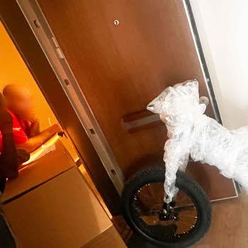 Ayıplı Ürün Ve Çözümsüz İade Süreci Mağduriyeti