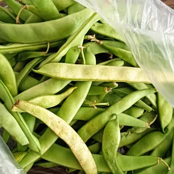 File Market Çürük Ve Küflü Ürün Teslimatı Sonrası Acil Çözüm Talebi