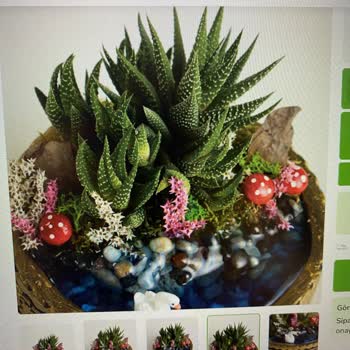 Görselden Farklı Ve Özensiz Ürün İkinci Kez Teslim Edildi