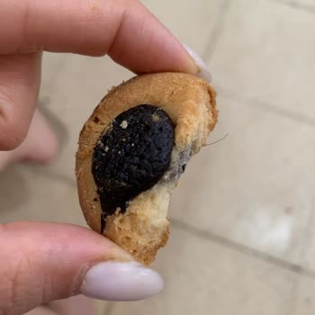 Aldığım Kurabiyeden Kıl Çıktı Hijyen Ve Fiş Sorunu Yaşadım